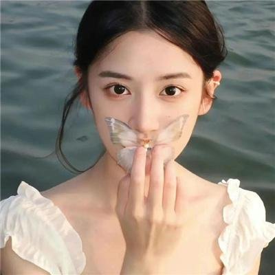 小塞内加尔海报