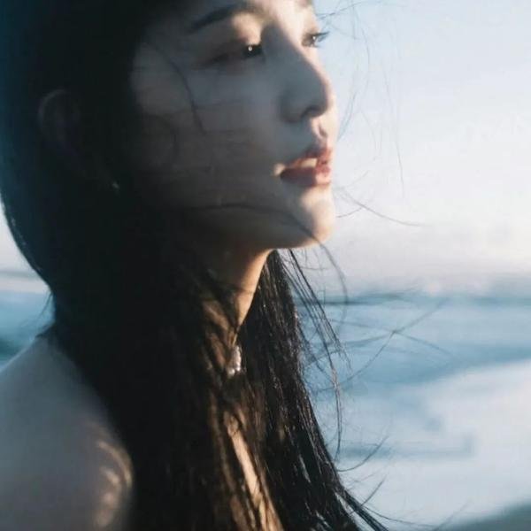 理想之家海报